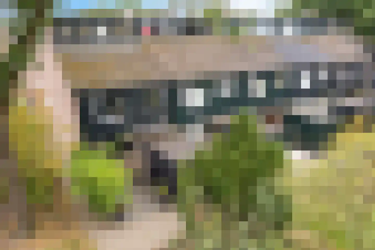 Ruinerbrink 104 Emmen thumbnail 28