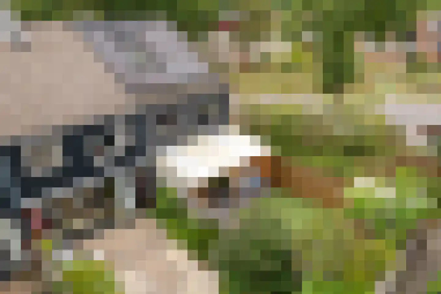 Ruinerbrink 104 Emmen thumbnail 33