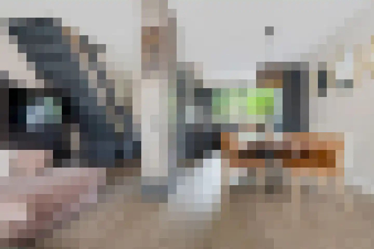 Ruinerbrink 104 Emmen thumbnail 8