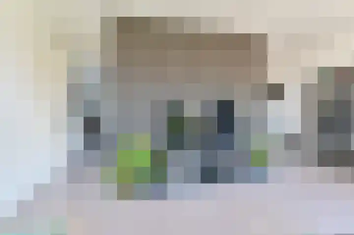 Ruinerbrink 127 Emmen thumbnail 21