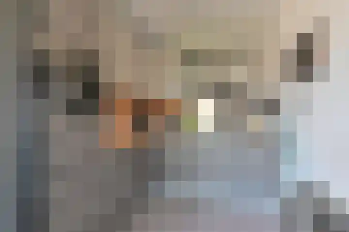 Ruinerbrink 127 Emmen thumbnail 26