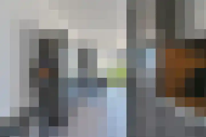 Ruinerbrink 127 Emmen thumbnail 30