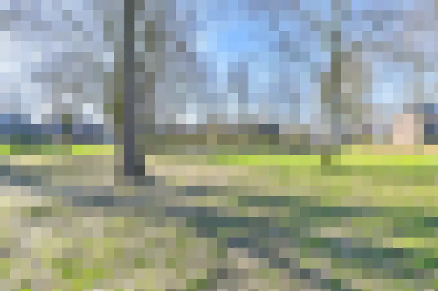 Ruinerbrink 127 Emmen thumbnail 57