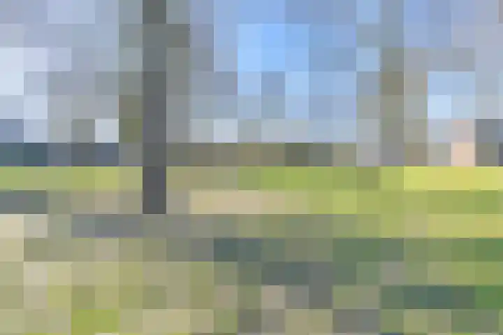 Ruinerbrink 127 Emmen thumbnail 57
