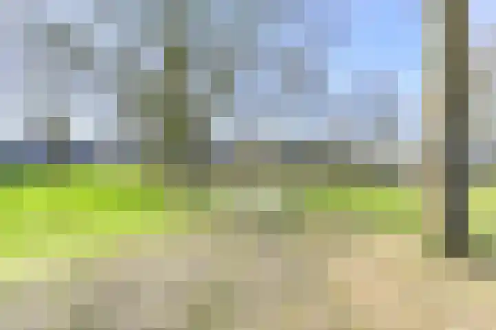 Ruinerbrink 127 Emmen thumbnail 58