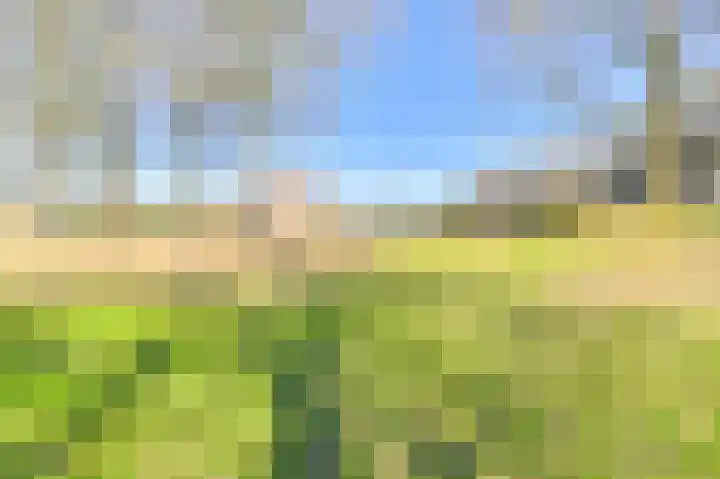 Ruinerbrink 127 Emmen thumbnail 64