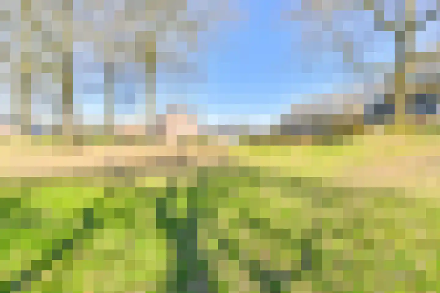 Ruinerbrink 127 Emmen thumbnail 64