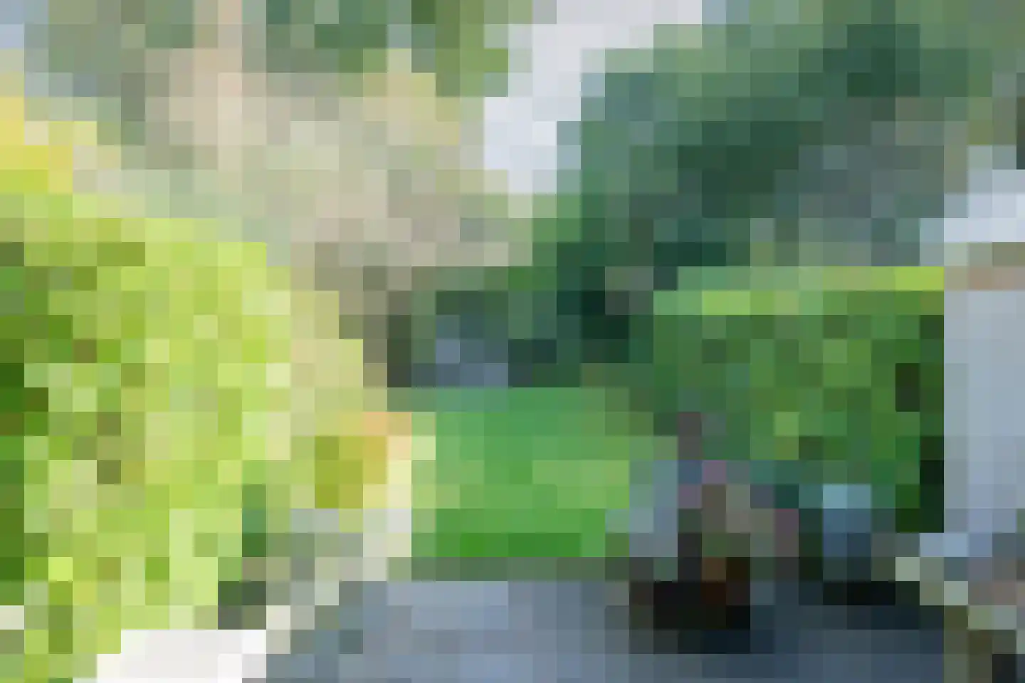 Ruinerbrink 138 Emmen thumbnail 28