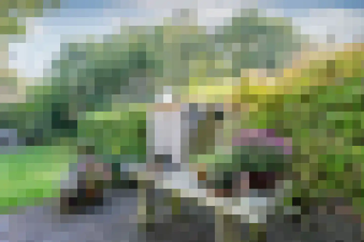 Ruinerbrink 138 Emmen thumbnail 29