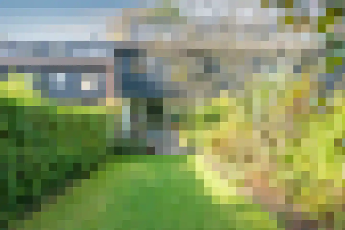 Ruinerbrink 138 Emmen thumbnail 32