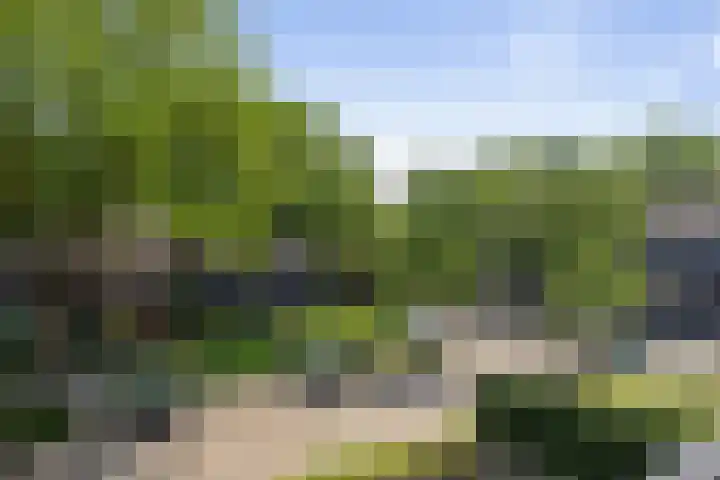 Ruinerbrink 139 Emmen thumbnail 16