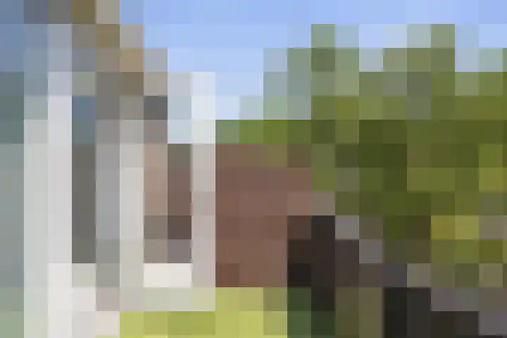 Ruinerbrink 139 Emmen thumbnail 17