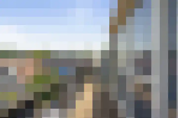 Ruinerbrink 139 Emmen thumbnail 27