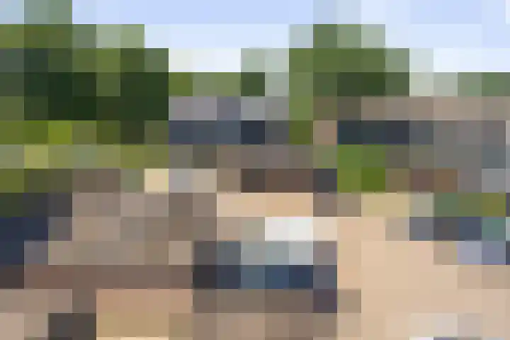 Ruinerbrink 139 Emmen thumbnail 28