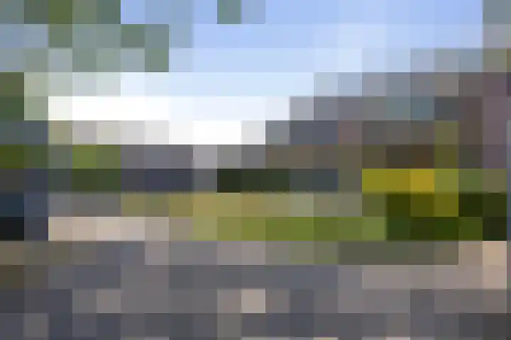 Ruinerbrink 139 Emmen thumbnail 34