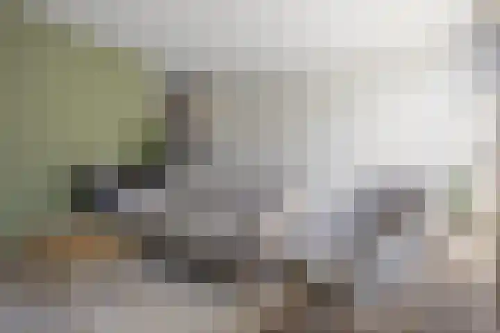 Ruinerbrink 139 Emmen thumbnail 7