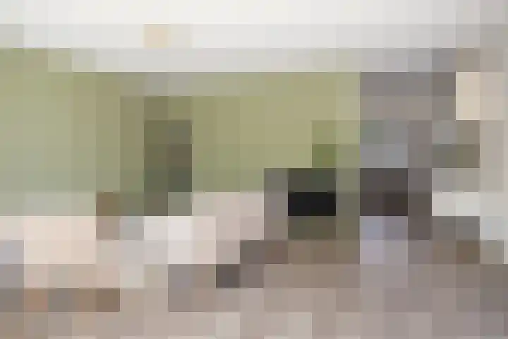 Ruinerbrink 139 Emmen thumbnail 8