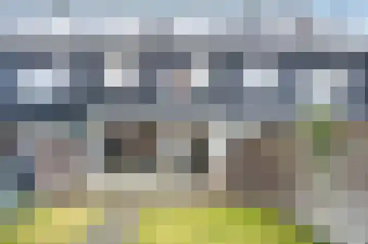 Ruinerbrink 153 Emmen thumbnail 29