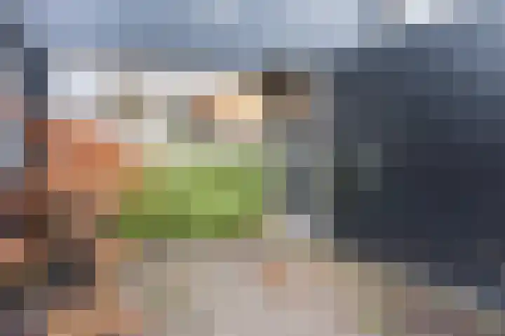 Ruinerbrink 153 Emmen thumbnail 33