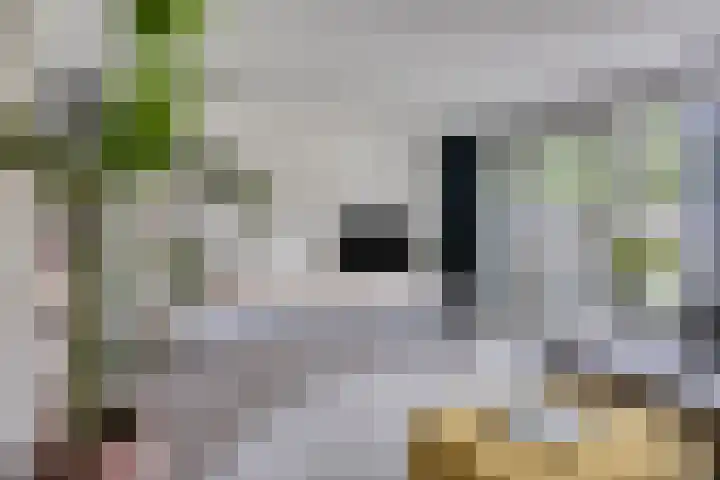 Ruinerbrink 155 Emmen thumbnail 10