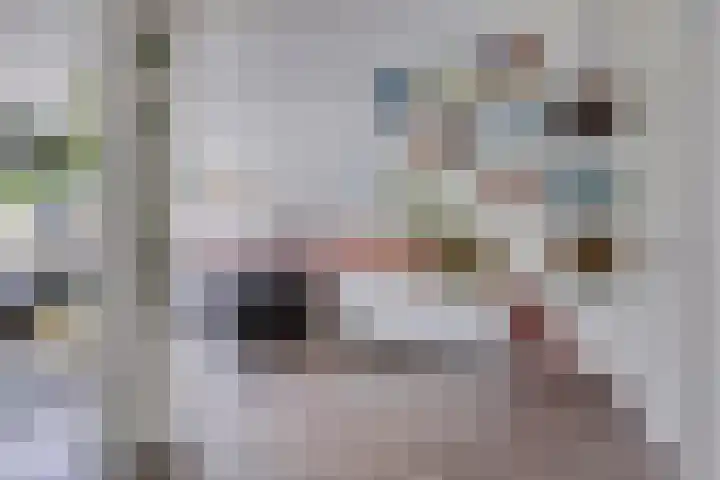 Ruinerbrink 155 Emmen thumbnail 13