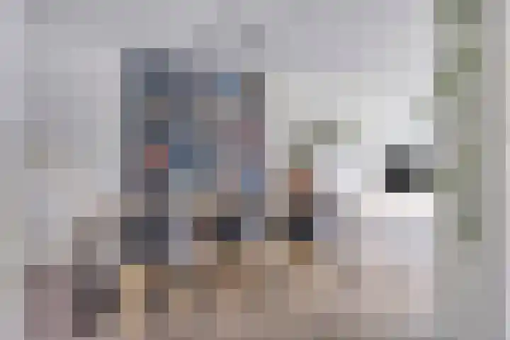 Ruinerbrink 155 Emmen thumbnail 14