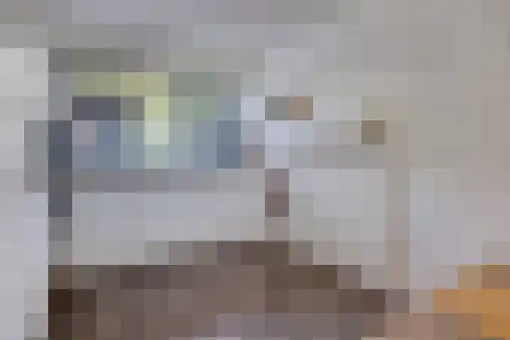 Ruinerbrink 155 Emmen thumbnail 17