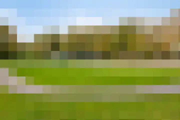 Ruinerbrink 178 Emmen thumbnail 21
