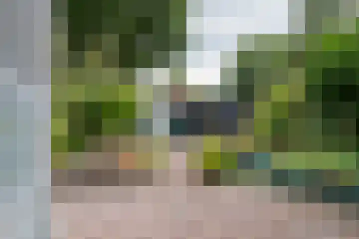 Ruinerbrink 185 Emmen thumbnail 33