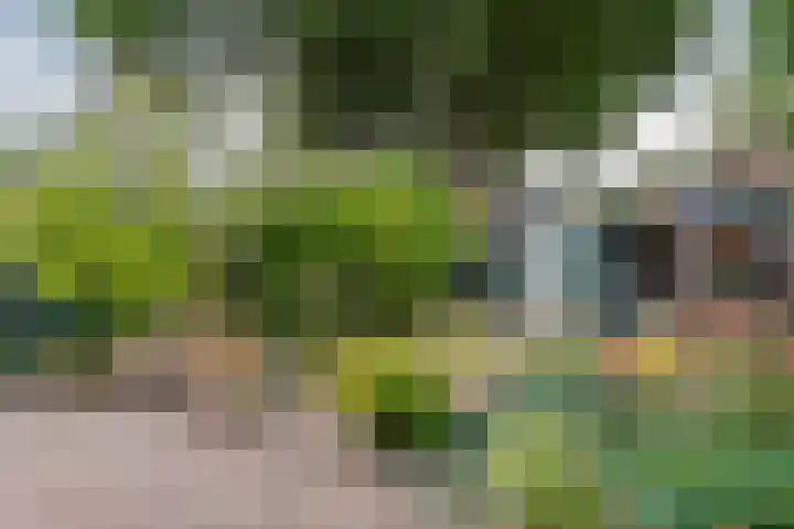Ruinerbrink 185 Emmen thumbnail 34