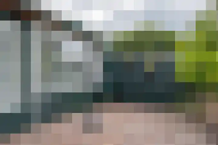 Ruinerbrink 185 Emmen thumbnail 35