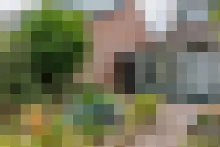 Ruinerbrink 185 Emmen thumbnail 36