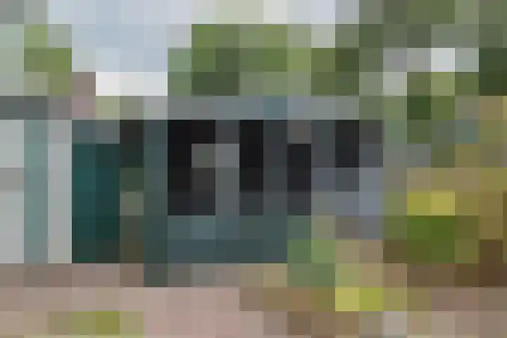 Ruinerbrink 185 Emmen thumbnail 39