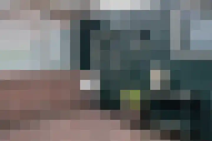 Ruinerbrink 185 Emmen thumbnail 4