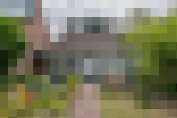 Ruinerbrink 185 Emmen thumbnail 41