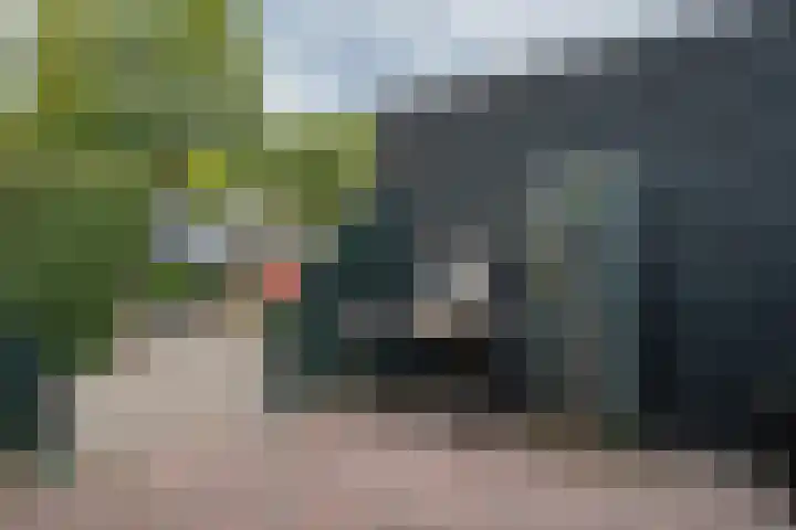 Ruinerbrink 185 Emmen thumbnail 5
