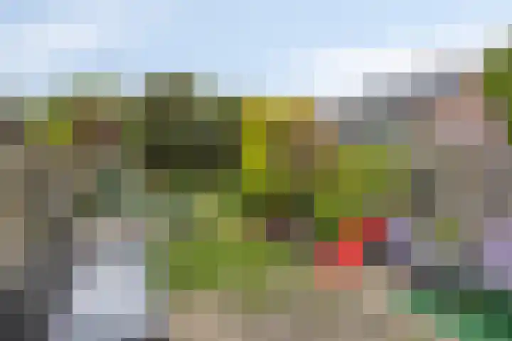 Ruinerbrink 207 Emmen thumbnail 27