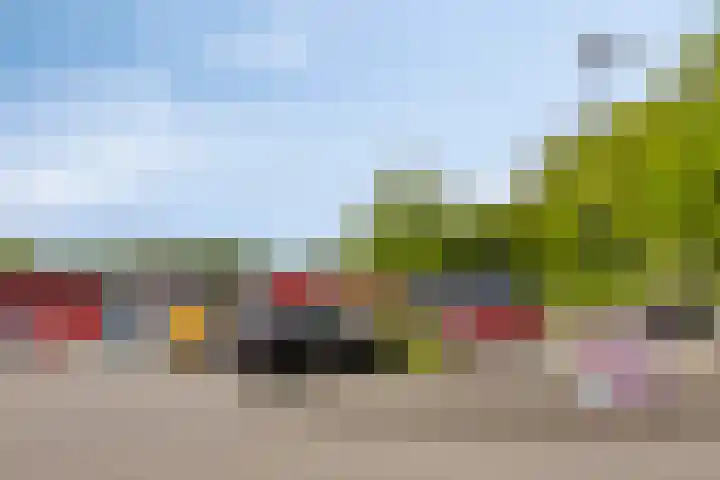 Ruinerbrink 207 Emmen thumbnail 30