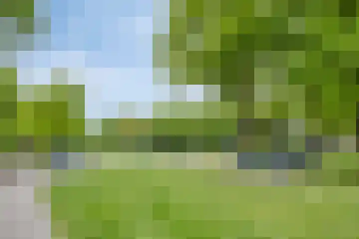 Ruinerbrink 207 Emmen thumbnail 32