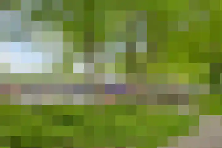 Ruinerbrink 207 Emmen thumbnail 33