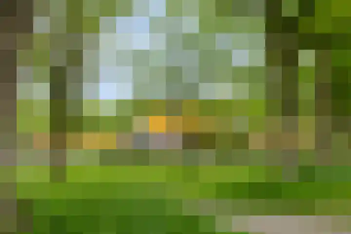Ruinerbrink 207 Emmen thumbnail 34