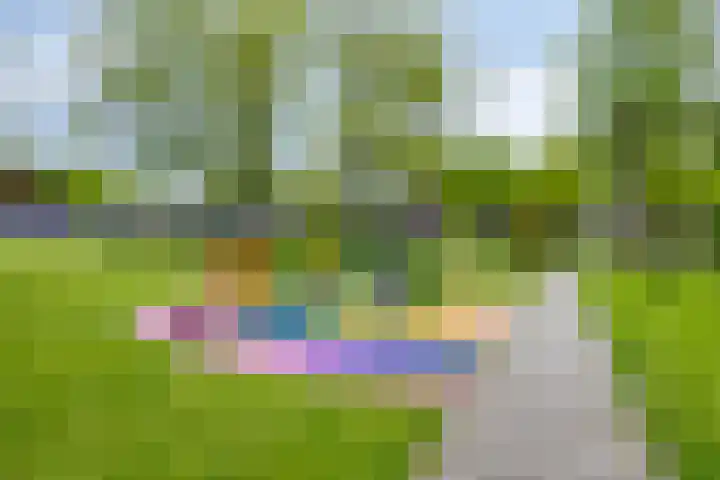 Ruinerbrink 207 Emmen thumbnail 35