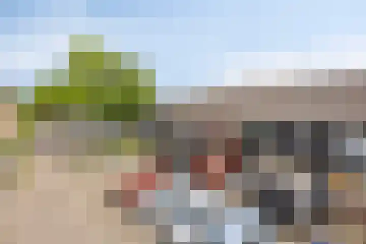 Ruinerbrink 207 Emmen thumbnail 5
