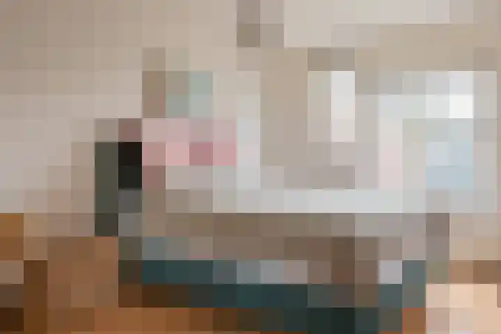 Ruinerbrink 217 Emmen thumbnail 26