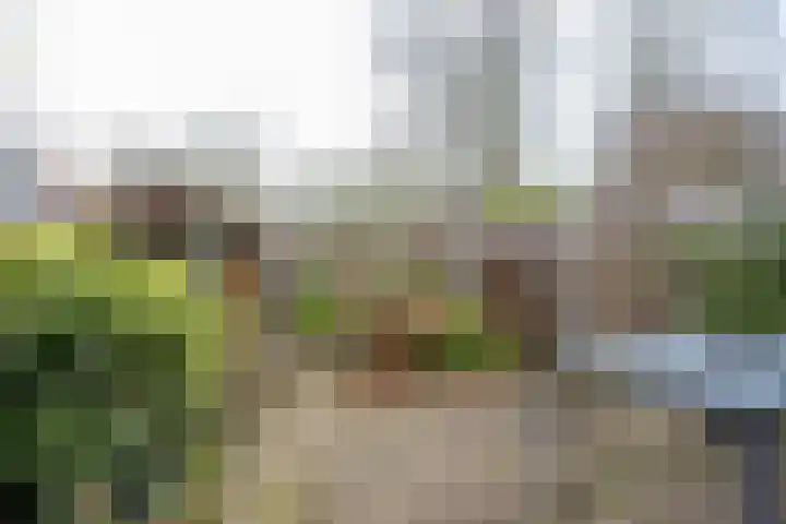 Ruinerbrink 217 Emmen thumbnail 36