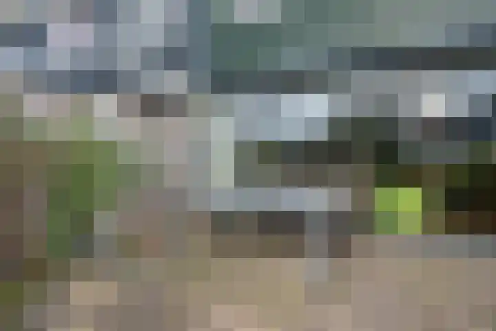 Ruinerbrink 217 Emmen thumbnail 37