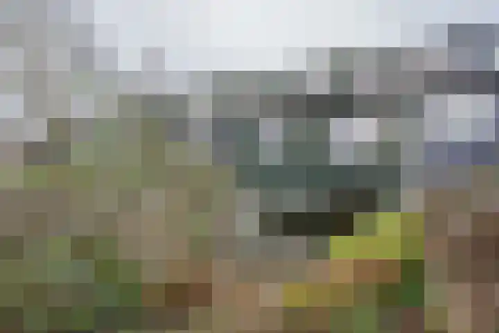 Ruinerbrink 217 Emmen thumbnail 38