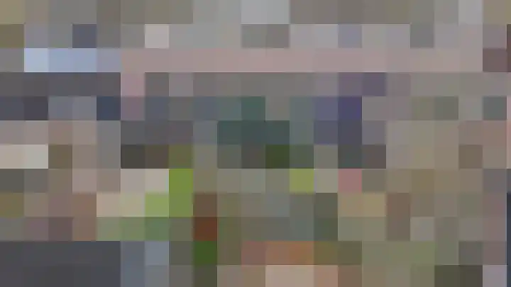 Ruinerbrink 217 Emmen thumbnail 39