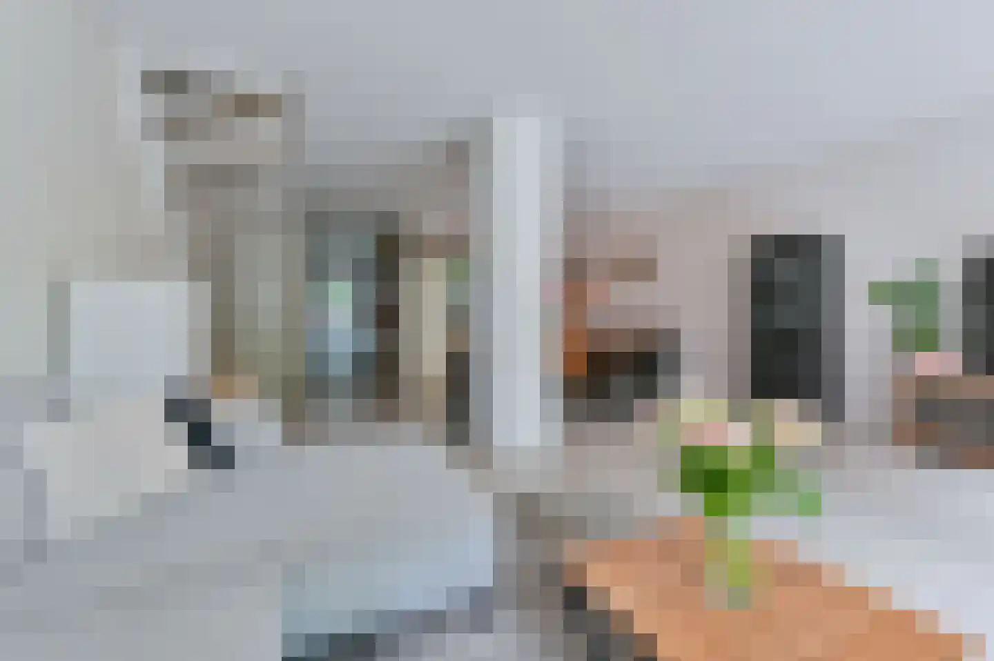 Ruinerbrink 249 Emmen thumbnail 17