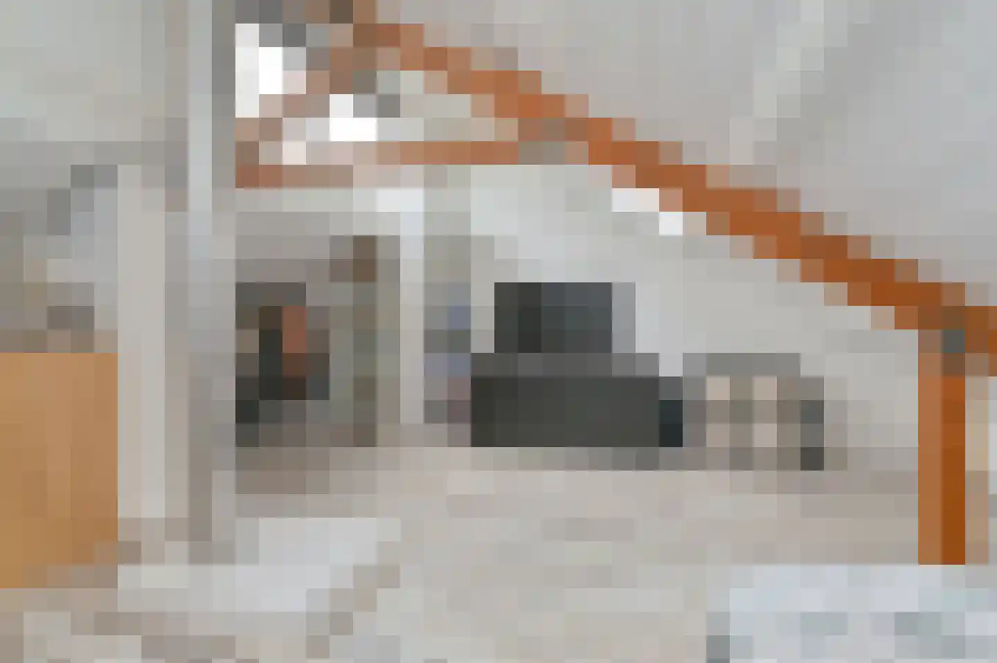 Ruinerbrink 249 Emmen thumbnail 55